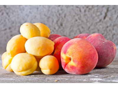 Различия персика и абрикоса, положительные для персика