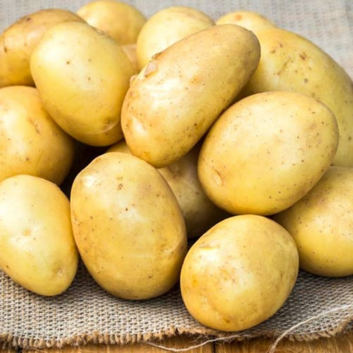   Картофель Брянский деликатес (70-80 дней)