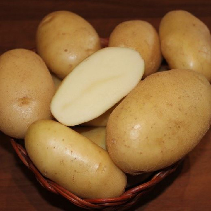   Картофель Крепыш (55-60 дней)
