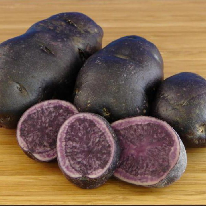   Картофель Фиолетовый (80-100 дней)